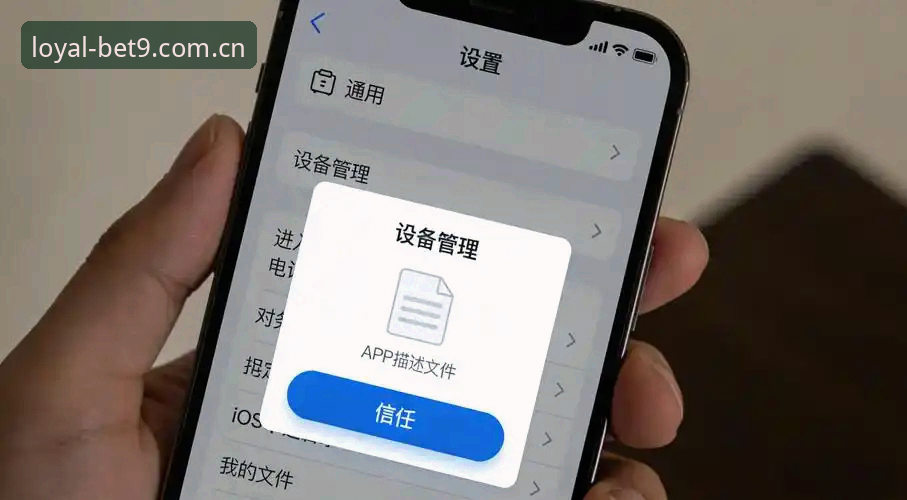 bet9信誉平台用户必读：Bet9安卓应用下载iOS版实用指南